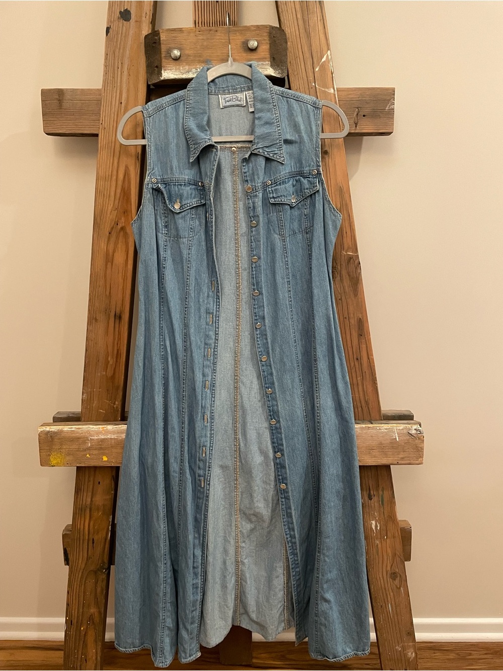Light Blue Denim Sleeveless Button-Front Maxi Dress